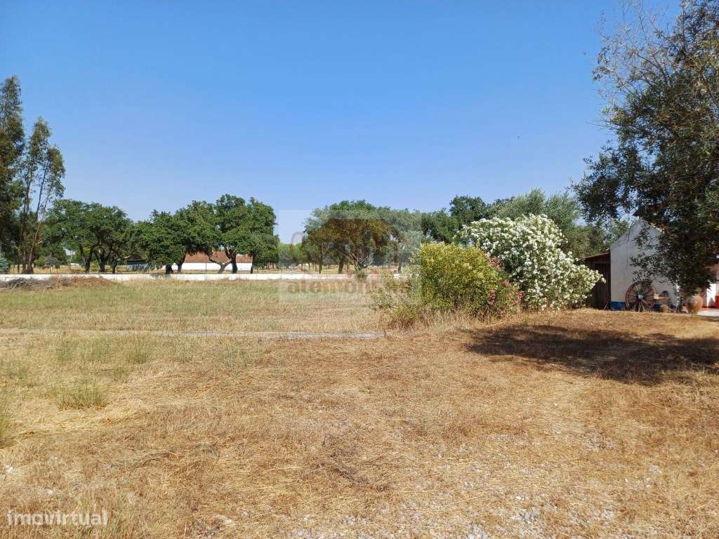 Encantador monte alentejano - 35 minutos das praias - Grande imagem: 5/27