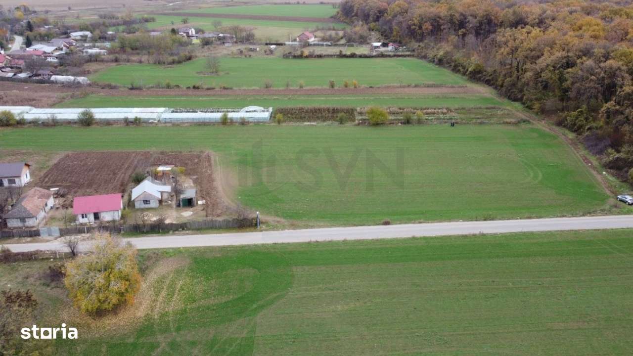 Teren situat langa Padure l Balta Neagra - Imagine principală: 4/8