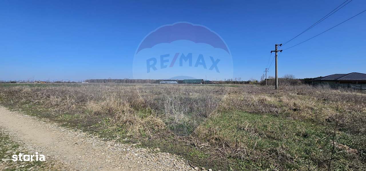 Teren de vanzare 2,000mp Izvorani Ciolpani Soseaua Bucuresti Ploiesti - Imagine principală: 4/6