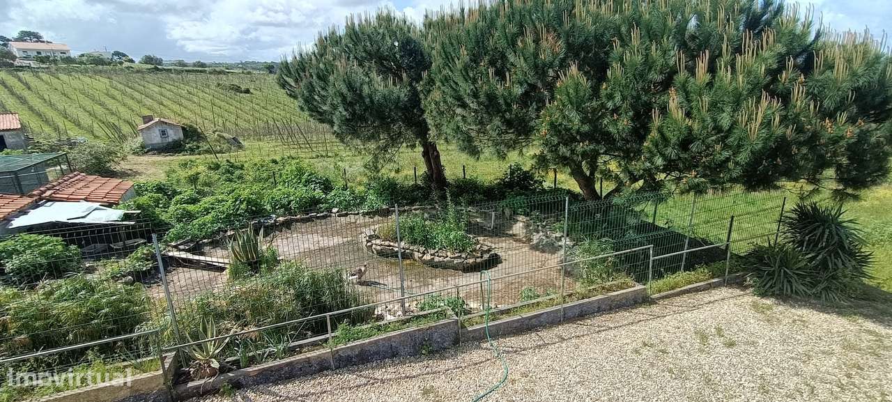 Quintinha Valado Frades Nazaré -Leiria-32