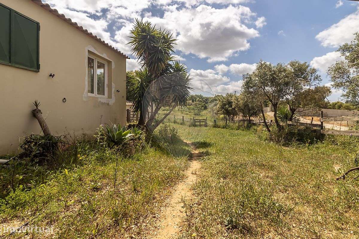 Quinta T4 para venda-46