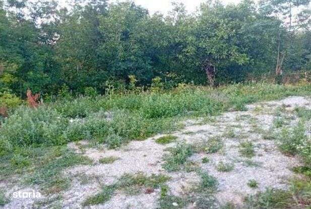 -teren intravilan, loc. Daesti, jud. Valcea - Imagine principală: 1/5
