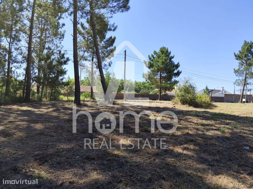 Invista no Futuro: Terreno com Potencial de Urbanização na Pocariça...-10