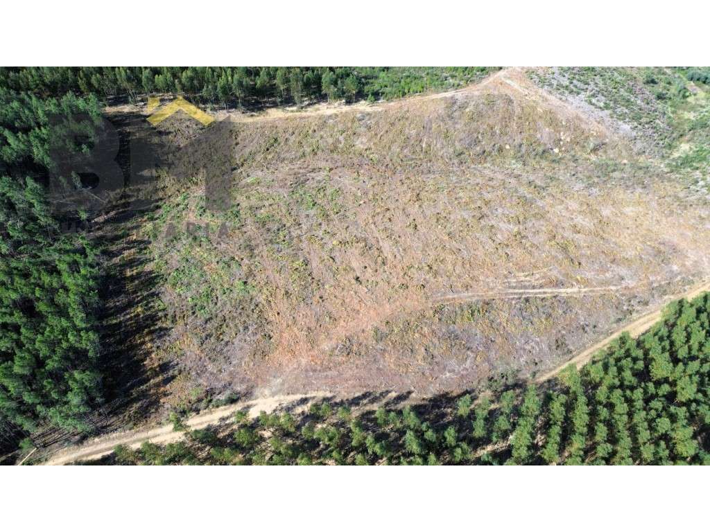 Terreno à venda em São Vicente da Beira! - Grande imagem: 2/6