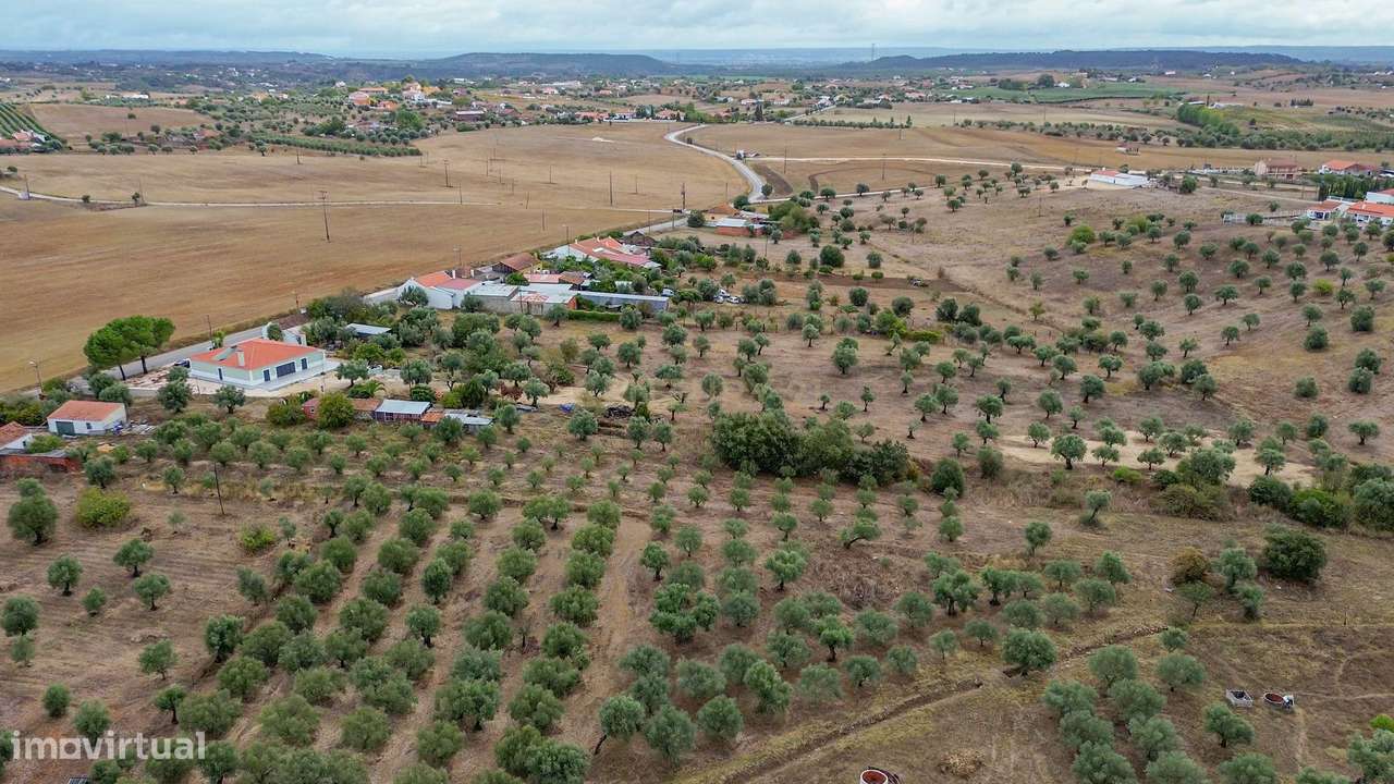 Moradia C/ Terreno Misto de Olival-15