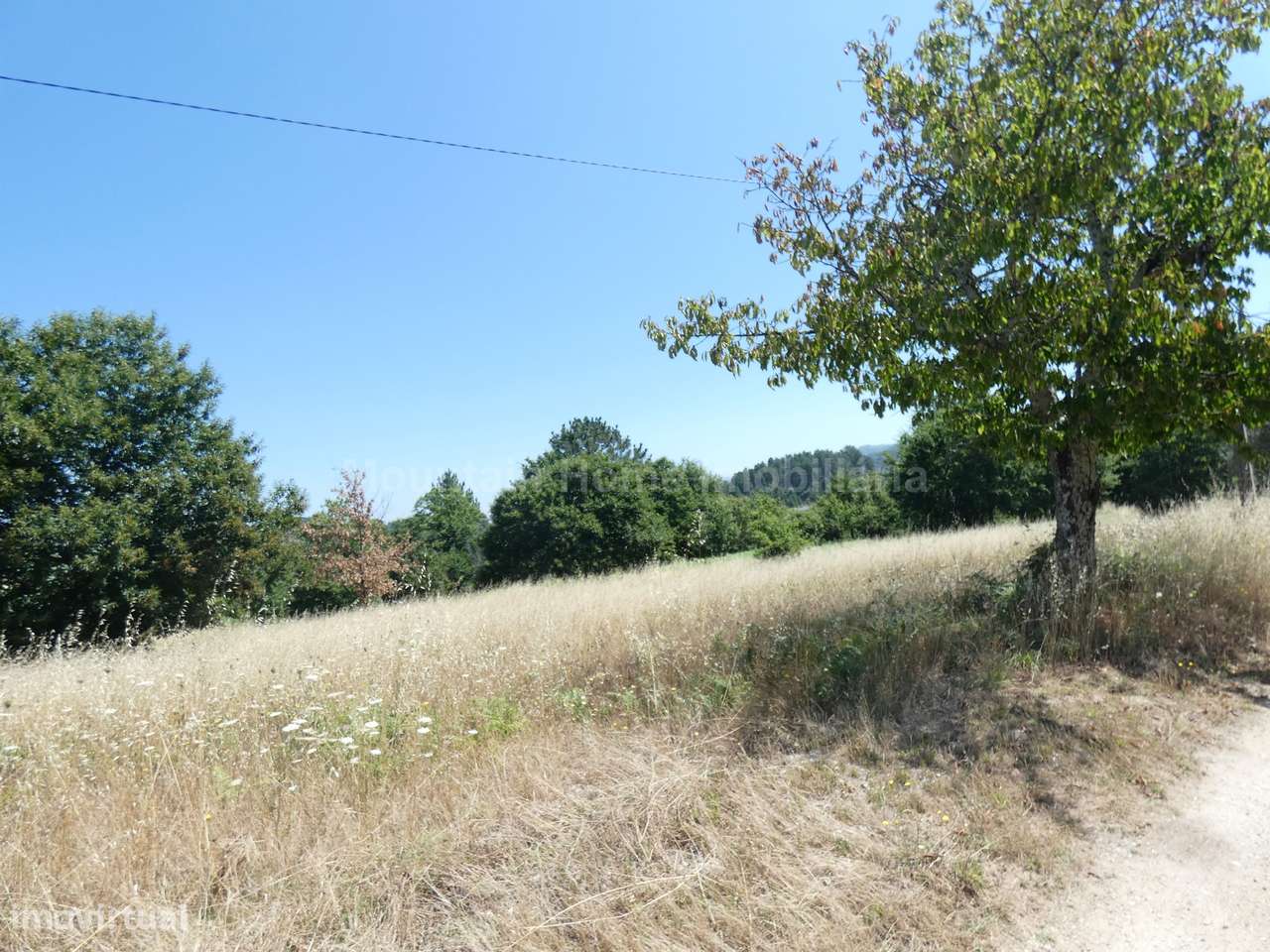 Quinta  Venda em Seia, São Romão e Lapa dos Dinheiros,Seia - Grande imagem: 4/7