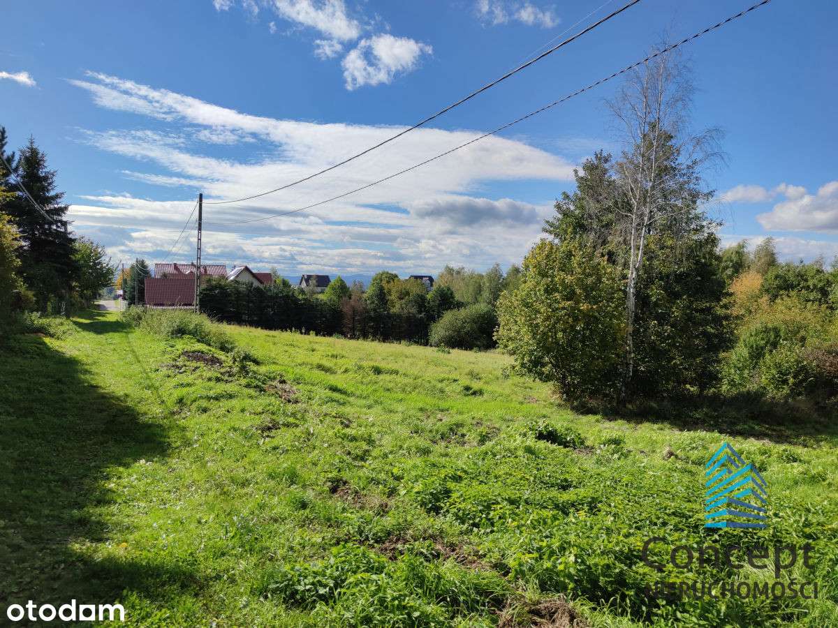 Brzesko/Okocim - działka bud. 14 arów, pod lasem - Pełny obrazek: 5/14