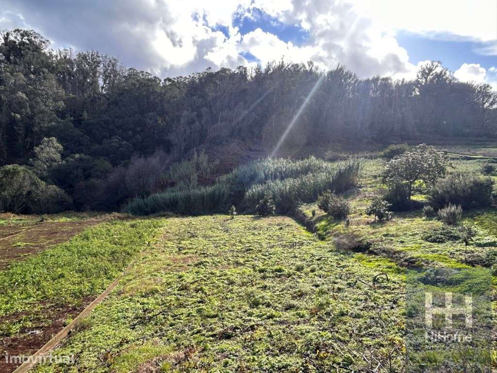 Terreno para construção Porto Moniz - Grande imagem: 4/14