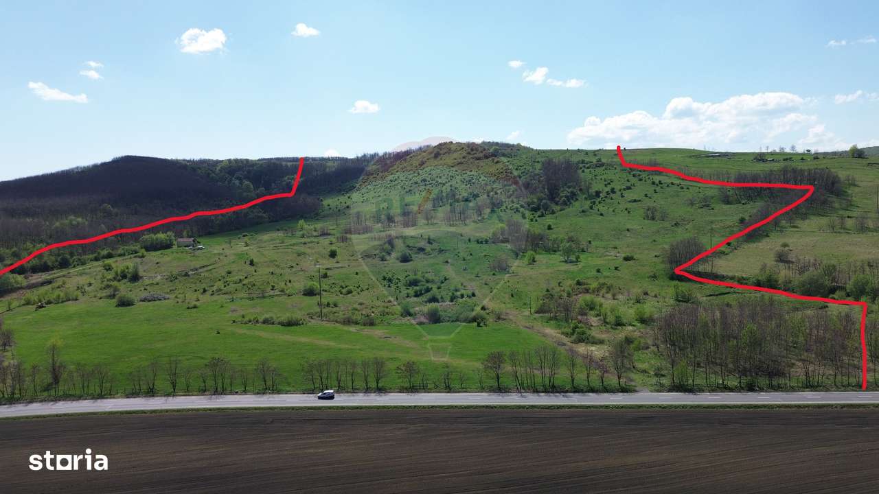 Domeniu - 66 Hectare - Teren deosebit Copsa Mica cu deschidere la DN14 - Imagine principală: 4/14