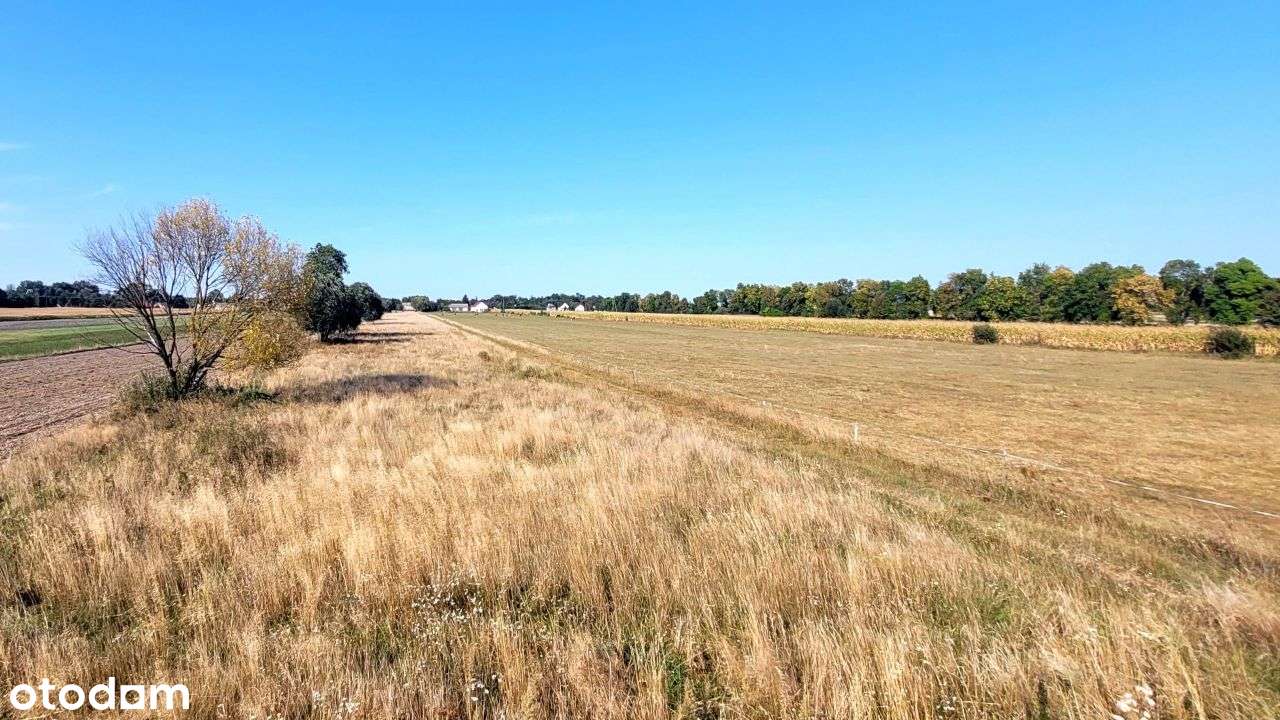 działka budowlana niedaleko Nasielska-10
