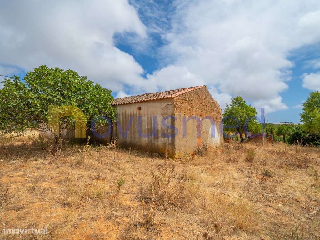 Quinta de 2,1 ha com Potencial para Turismo Rural- Guia Valverde-5
