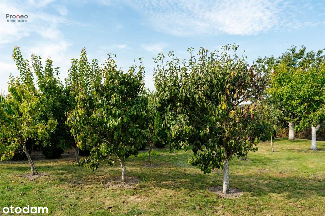 Dom na sprzedaż, Jeziora Wielkie, 6 pokoi-8