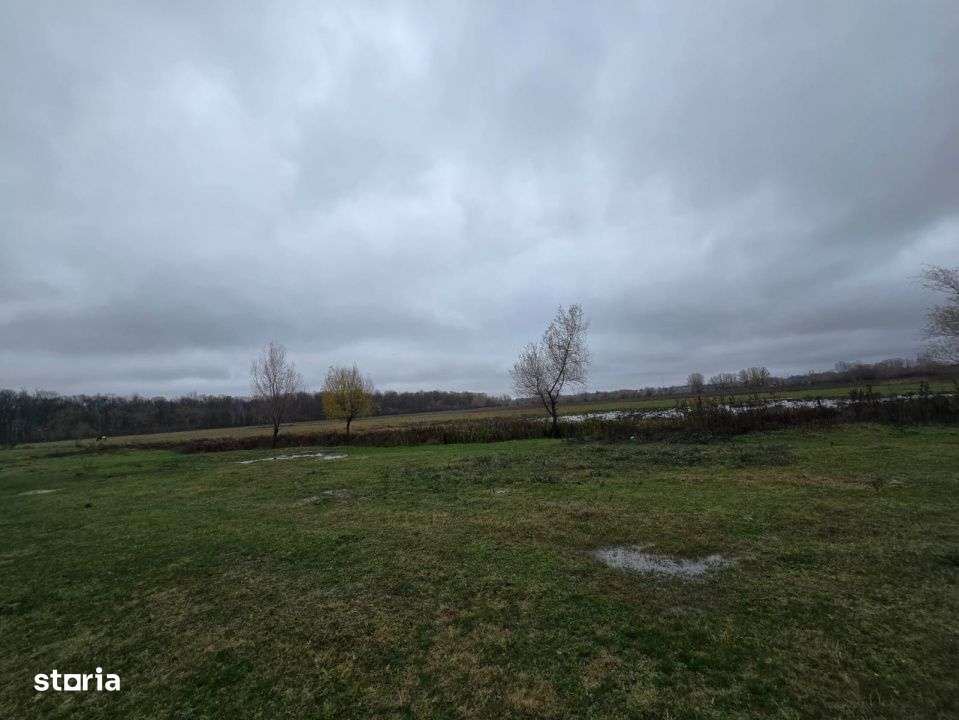 Teren  100.000 mp, Recea-Albota-5