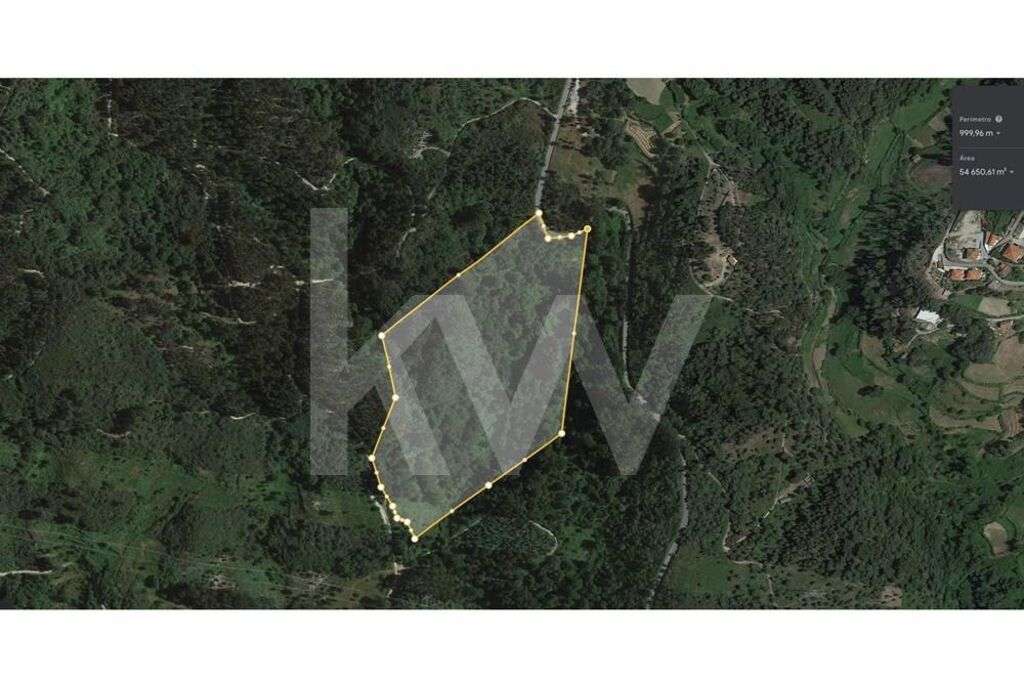 TERRENO DE 5,4 HECTARES LOCALIZADO EM GOSENDE - BAIÃO - Grande imagem: 1/8