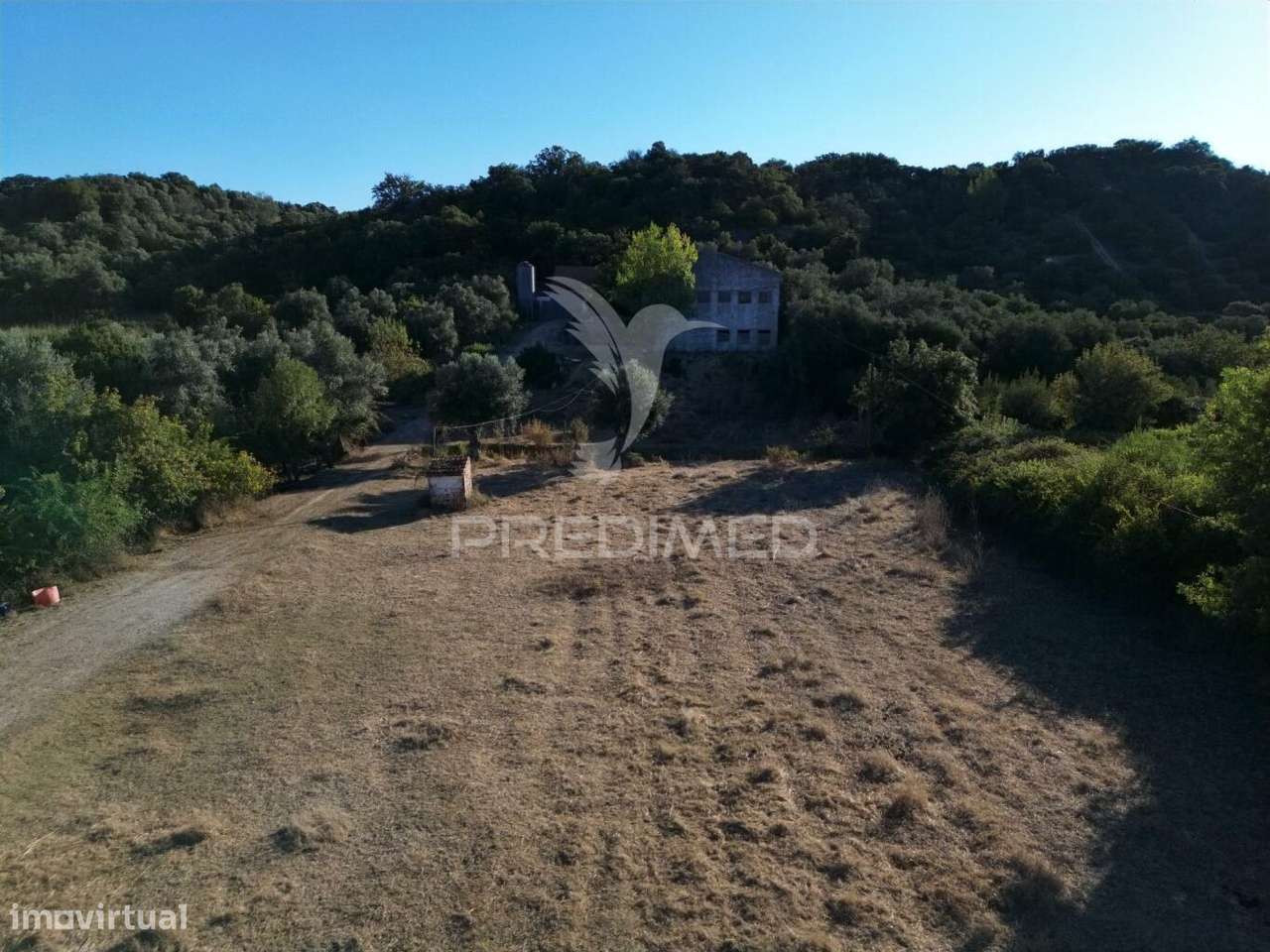 Oportunidade Única de Negócio - Aviário em Almajões, Santarém - Grande imagem: 4/34