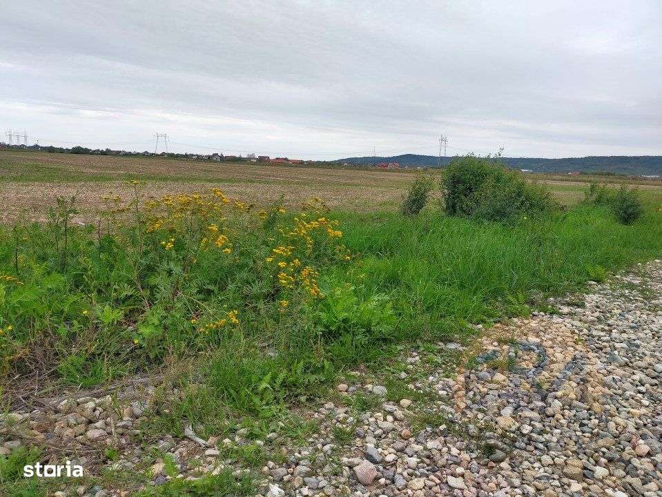 Teren Osorhei, Str. 610 - Imagine principală: 3/8