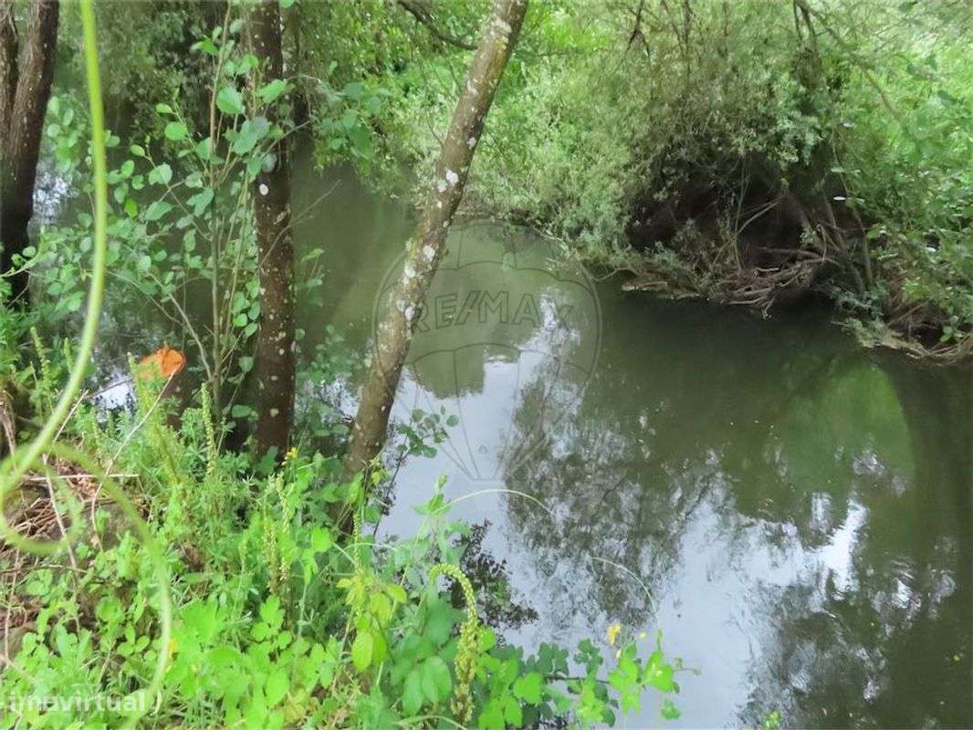 Quinta  para venda - Grande imagem: 4/29