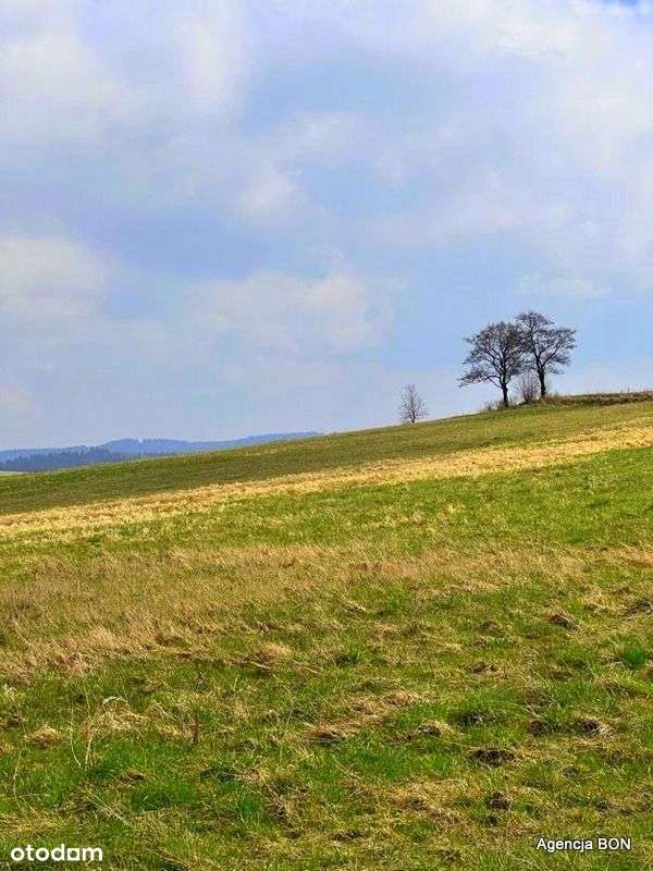 Działka w górach, okolice Karpacza-12