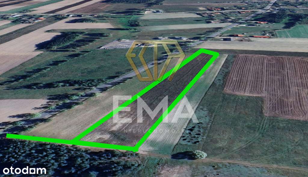 Rząśnia | 10 000 m² pod dom, usługi lub agroturyst - Pełny obrazek: 4/4