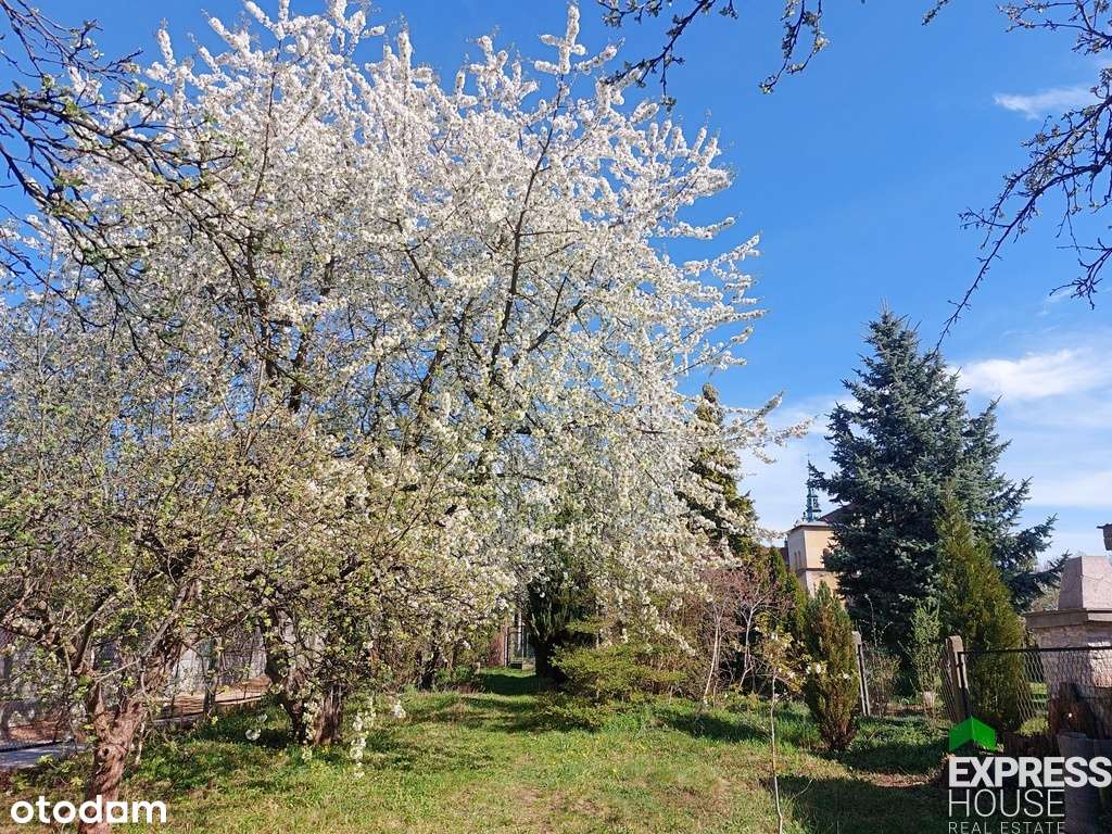 Działka 3539 m² z WZ i domem | Częstochowa Raków |-0