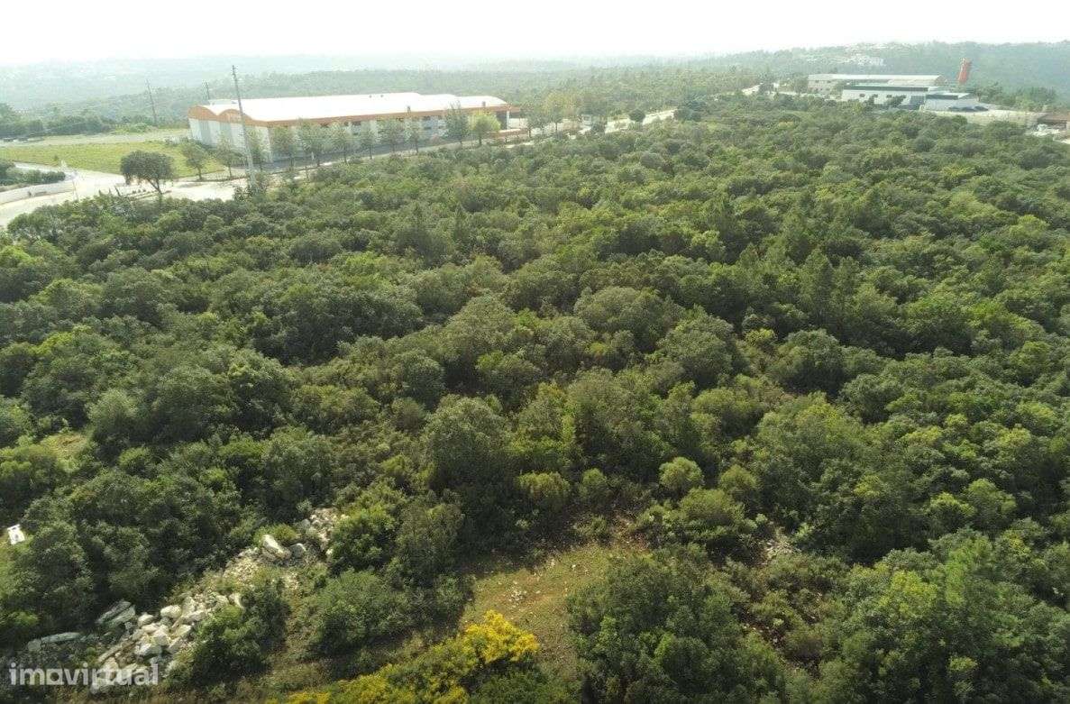Terreno Rústico na preferia da fantástica Cidade de Fátima - Grande imagem: 4/6