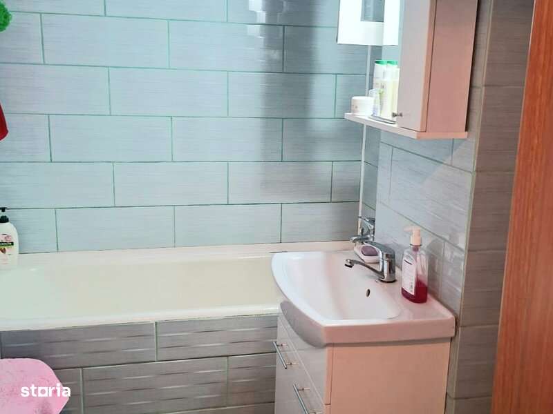 Lacul Tei, Parc, stradal et 2 dec ved pe parc fara risc seismic-4