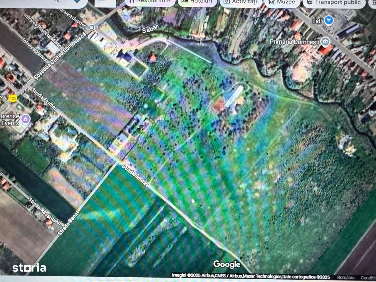 Teren de vanzare 12.700 mp Domnesti Curtea Domneasca - Imagine principală: 3/3