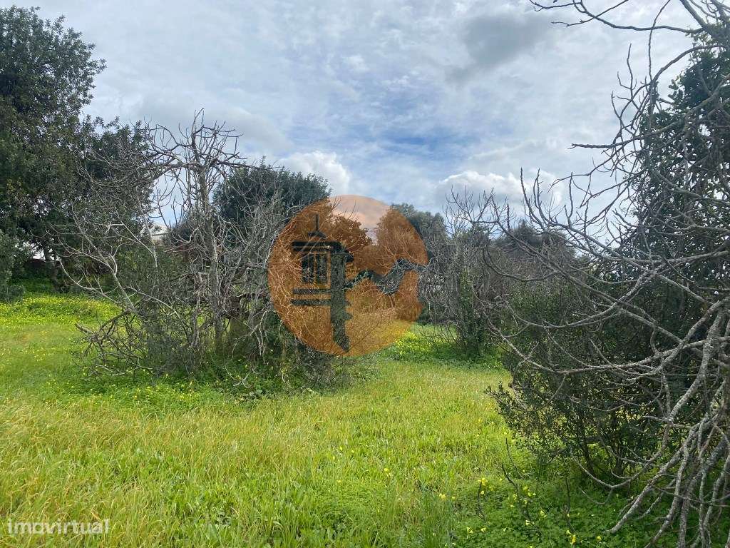 Terreno Rustico - Grande imagem: 5/12