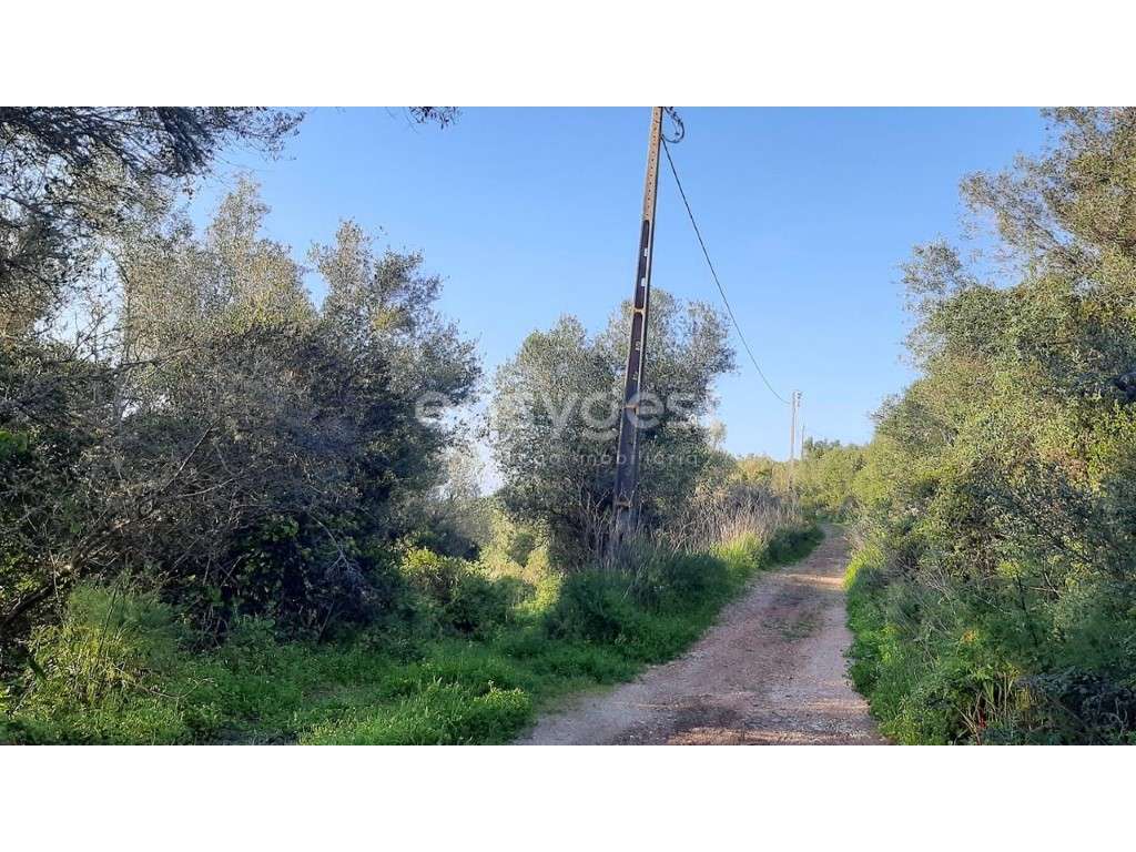 Terreno Rústico de Cultura Arvense em Morelena com 87 880m2 - Grande imagem: 4/17