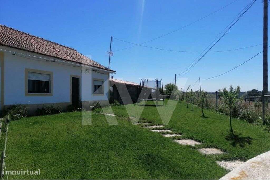 Quinta em Torres Novas, com 182.143 m2 - Grande imagem: 5/27