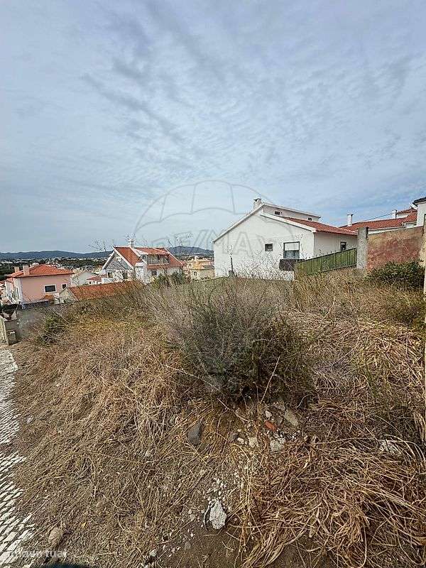 Terreno  para venda - Grande imagem: 3/4