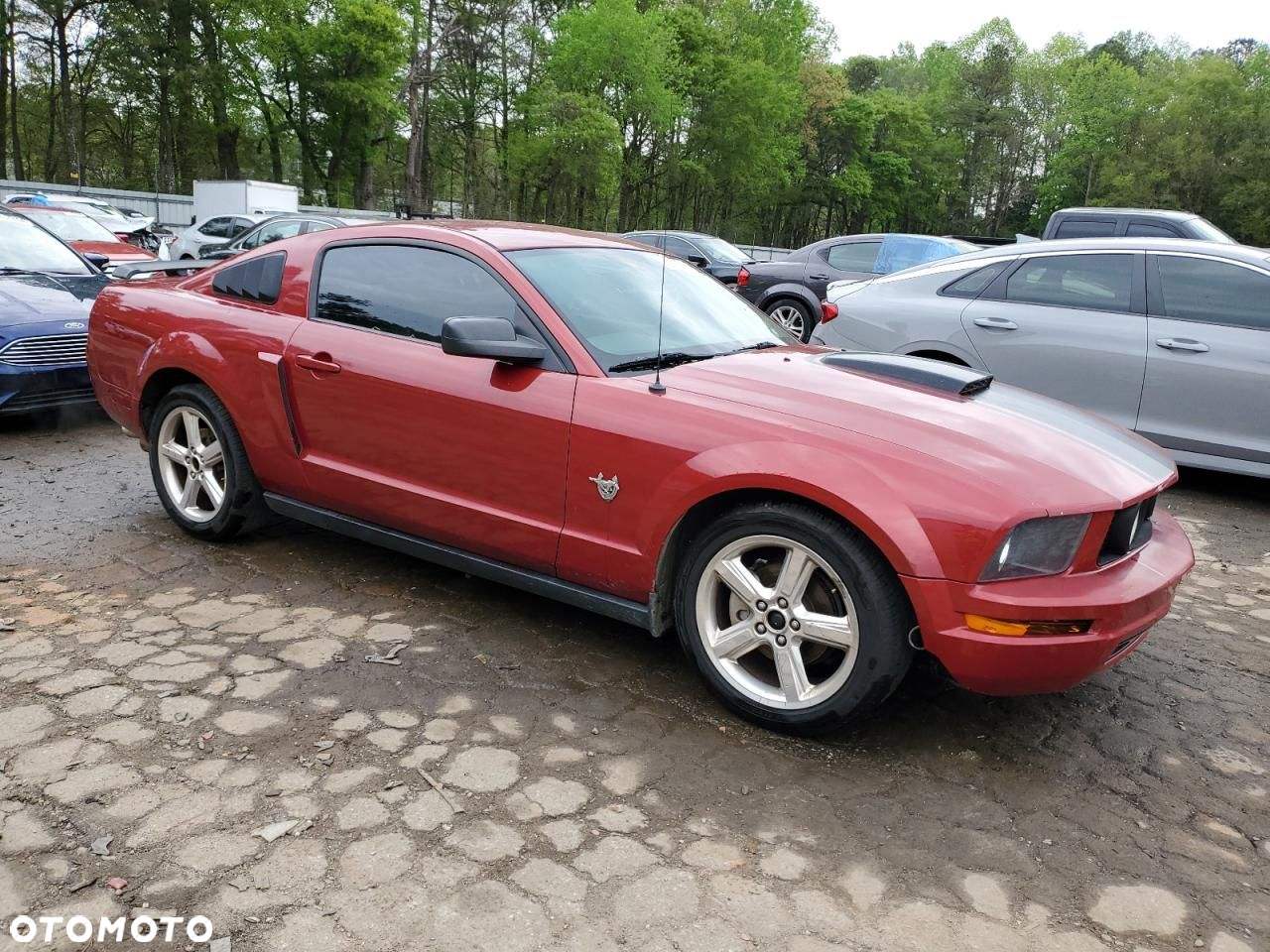 Ford Mustang - 5