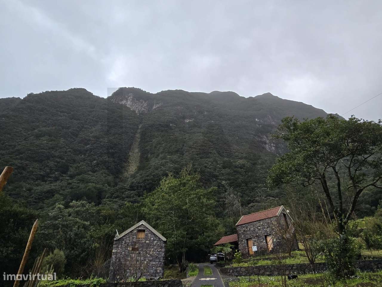 LOTE 1581M2 COM 3 PALHEIROS - Grande imagem: 4/15