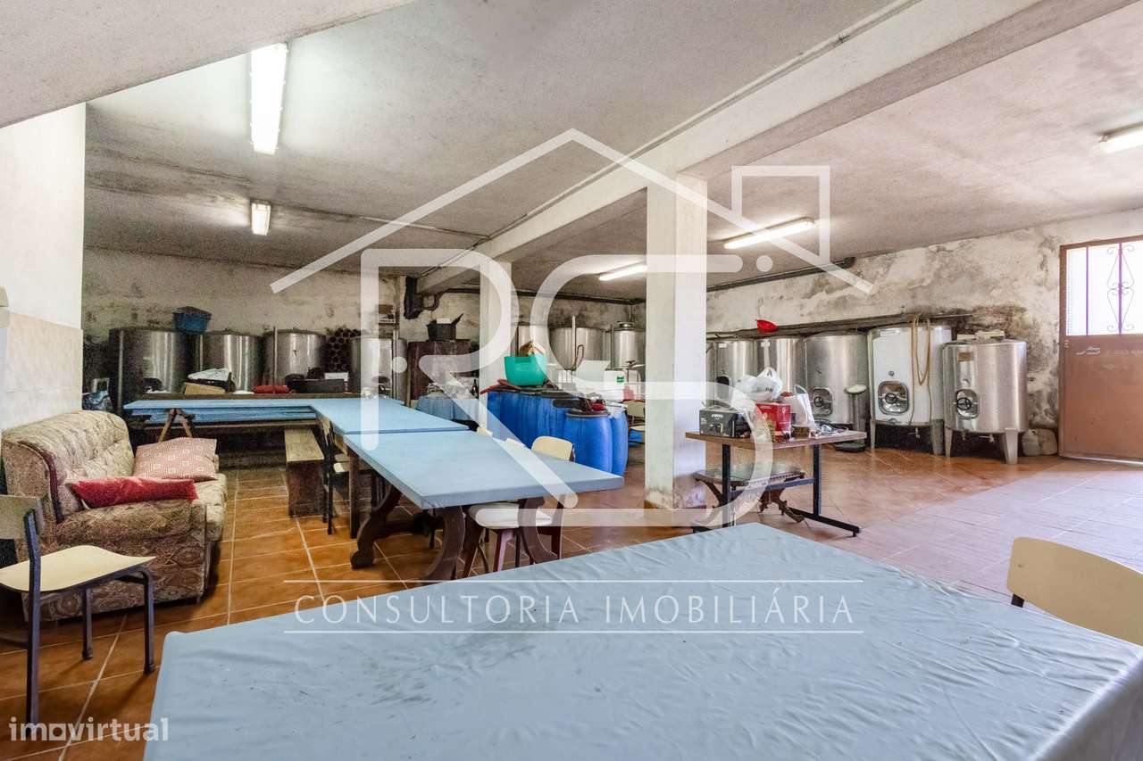 Quinta T6 | Selho São Jorge, Guimarães-47
