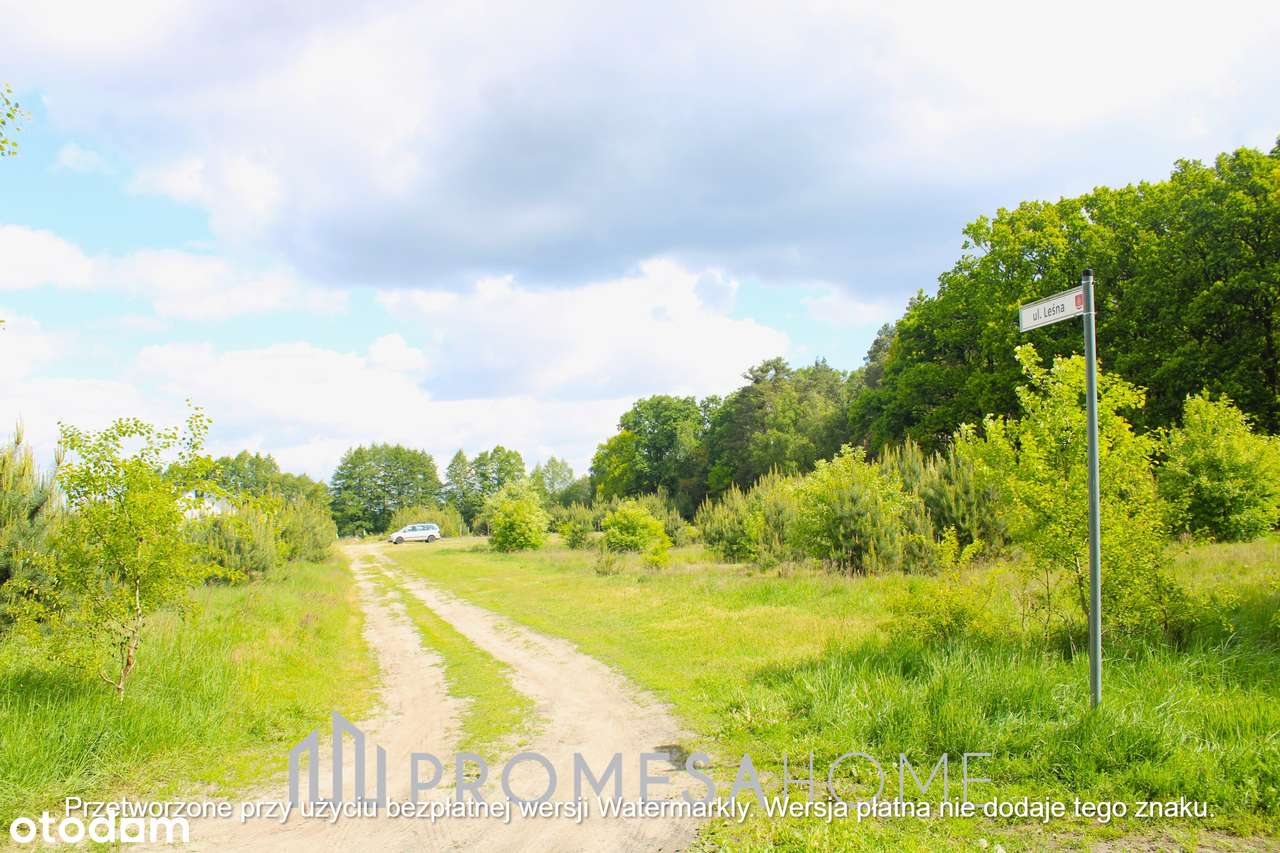Sulęcinek piękne działki leśne 60zł/m2 !!! - Pełny obrazek: 5/5