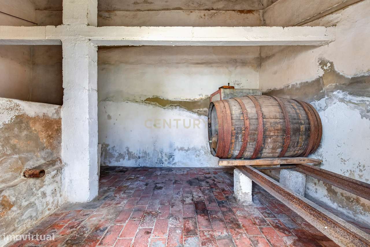 Encantadora Moradia em Tramagal, Abrantes - 5 Quartos-21