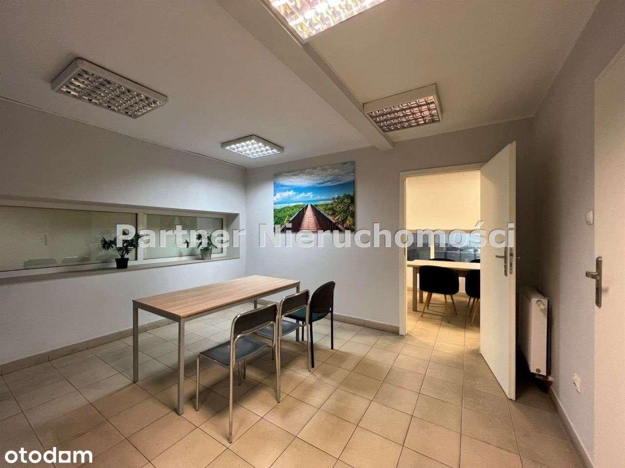 Lokal 220 M!!! Parking!! - Pełny obrazek: 5/12