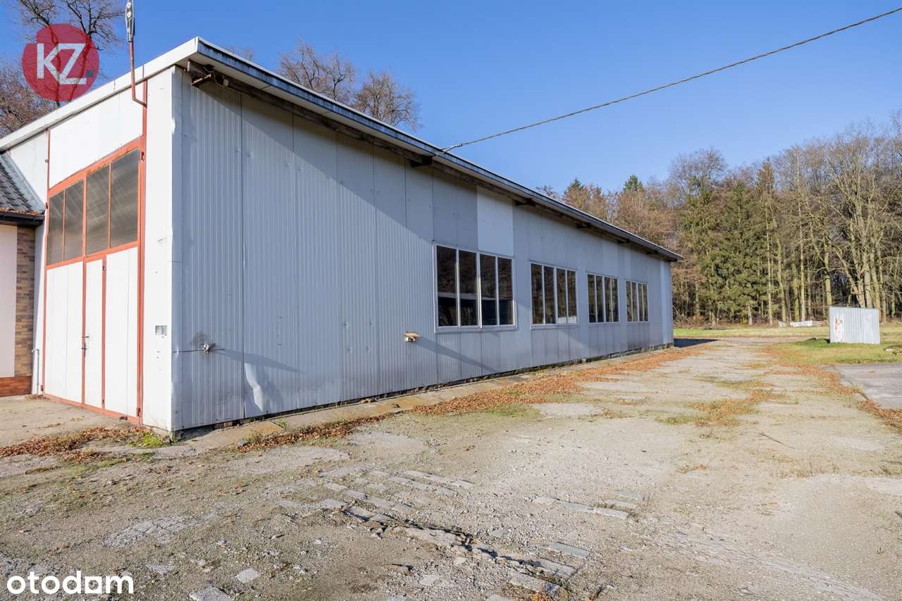 Obiekt na sprzedaż, Margonin (gw)-15