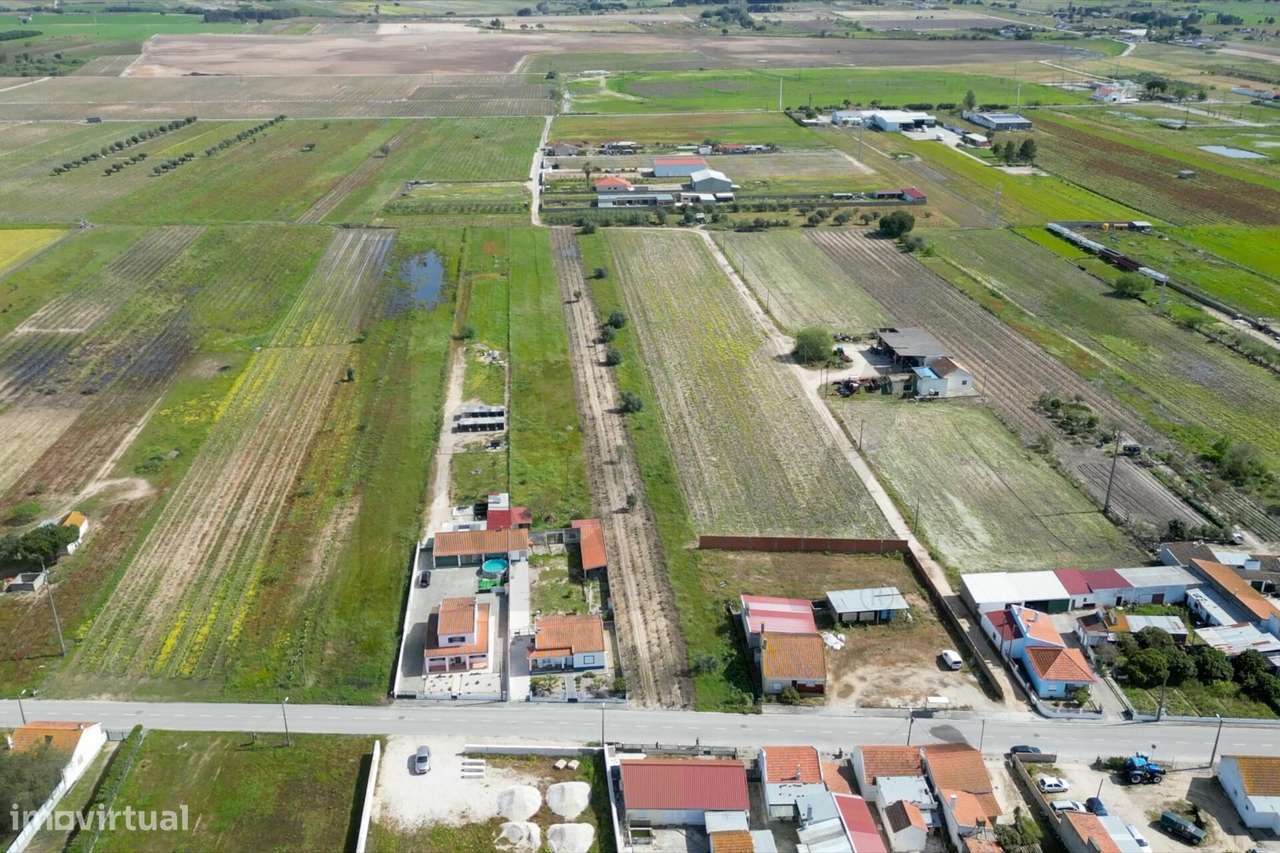 Terreno - Benfica do Ribatejo - Grande imagem: 5/12