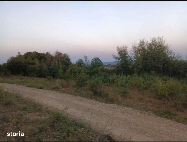 Teren extravilan in vecinatatea zonei locuite, Marginea - Suceava - Imagine principală: 5/6