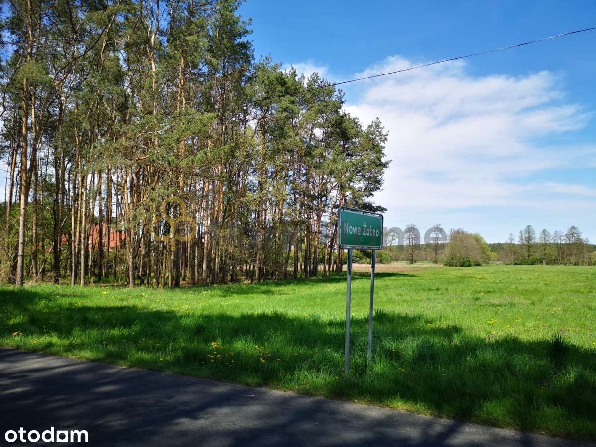 Działki budowlane Nowa Sól - Nowe Żabno - Pełny obrazek: 2/5
