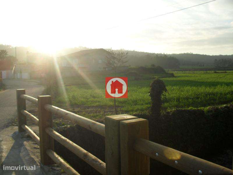 Terreno agrícola 4.500m2 em Rates - Grande imagem: 4/7