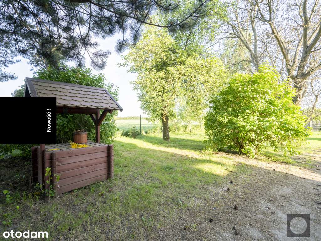 Rodzinny, komfortowy dom na dużej działce z sadem - Pełny obrazek: 5/20