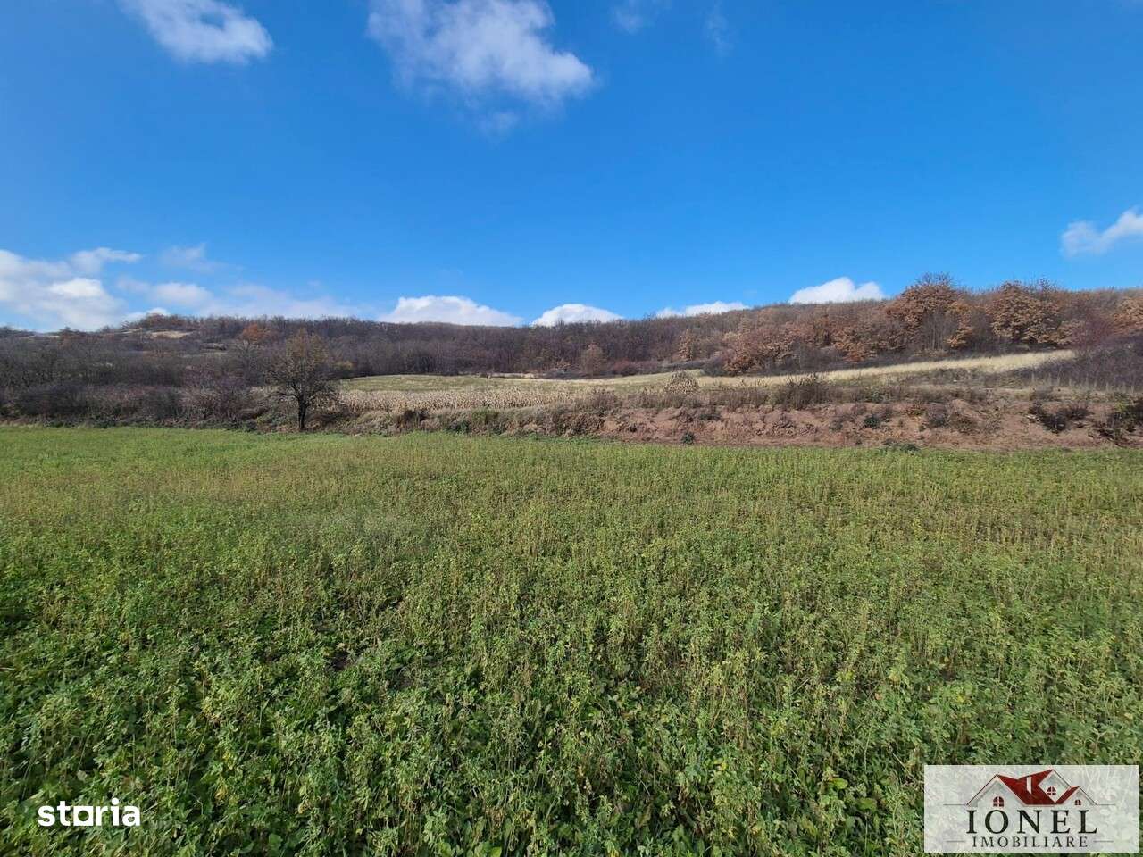 Vanzare teren in Ampoita-1