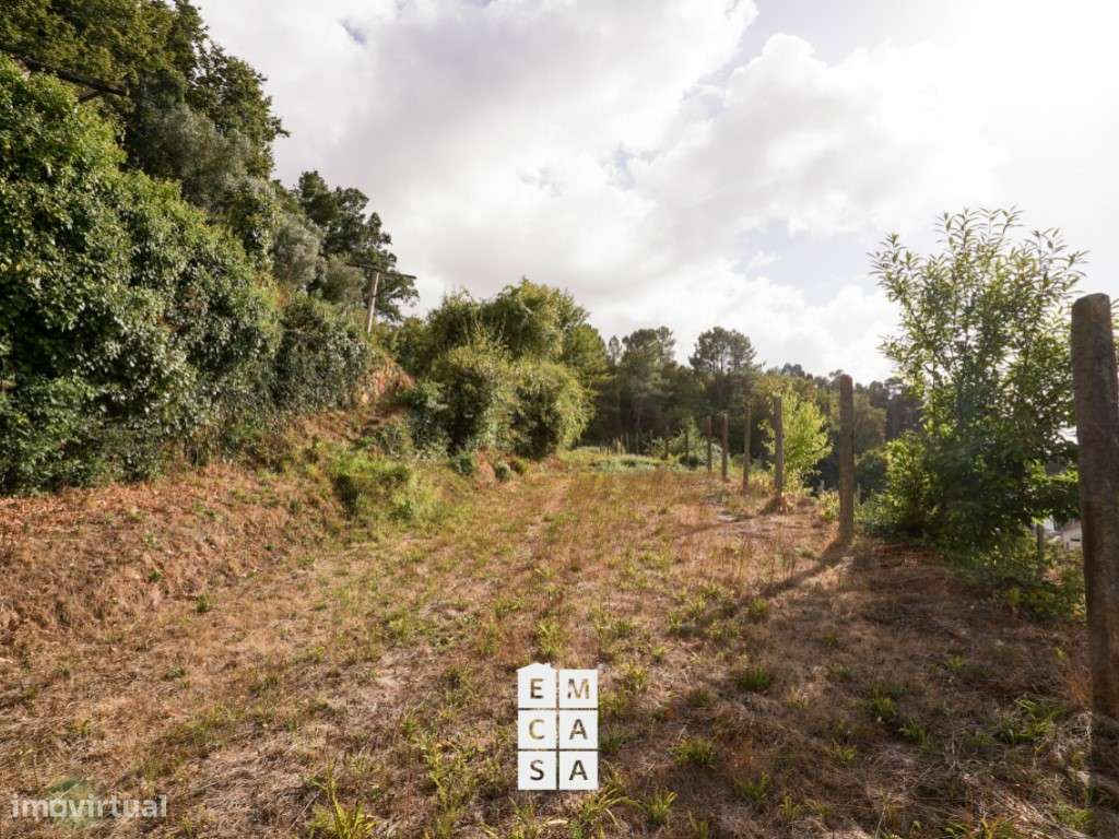 Terreno em Vale de Cambra - Santa Cruz - Grande imagem: 5/11