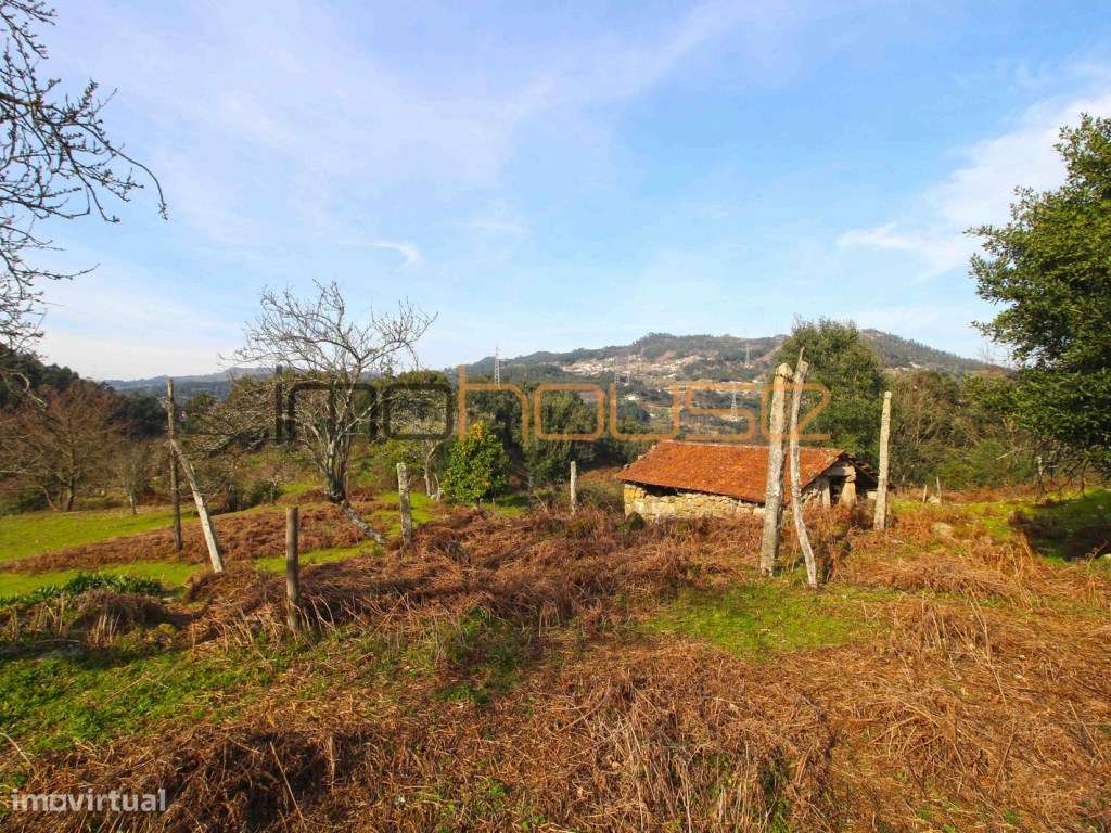 Quinta de 5.6 ha - Varias edificações, ribeiro e vista Douro-7