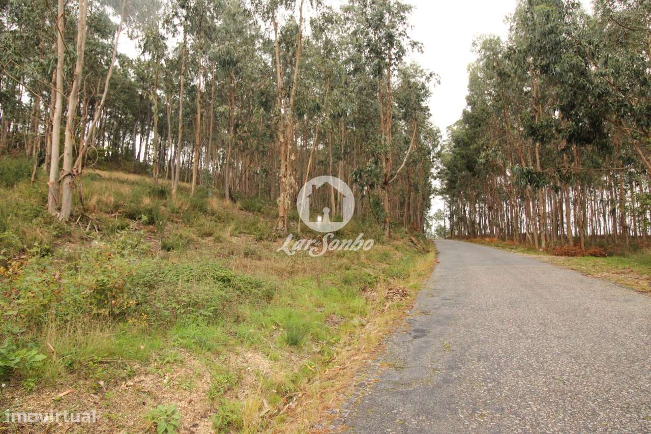 Terreno Agrícola com Excelente Localização  3.300 m² - Grande imagem: 4/11