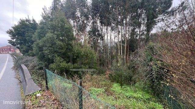 Terreno Rústico em Canedo com 1300m2. - Grande imagem: 4/5