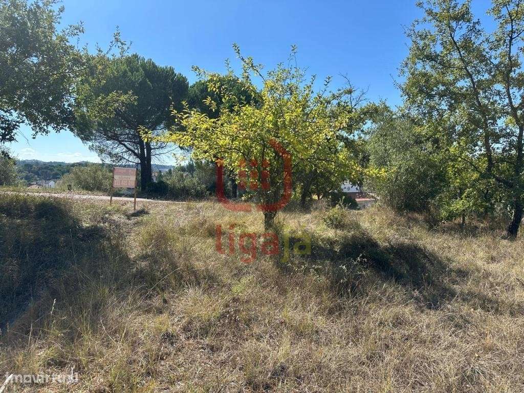 Terreno com Viabilidade de Construção - Ourém! - Grande imagem: 5/9