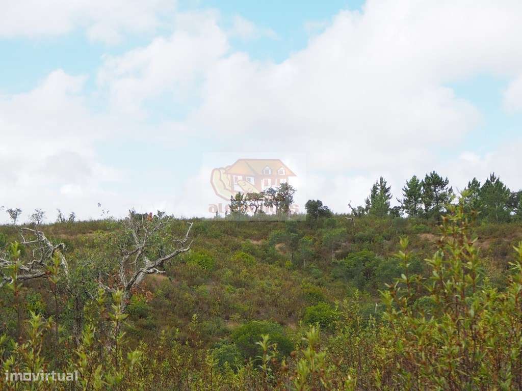 Terreno para Turismo a 20 minutos das praias da Costa Vicentina - Grande imagem: 5/12